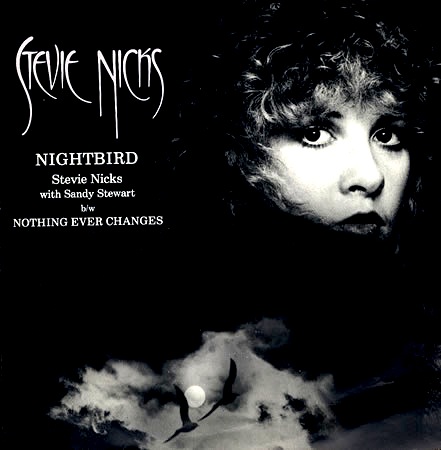 Stevie Nicks - Nightbird